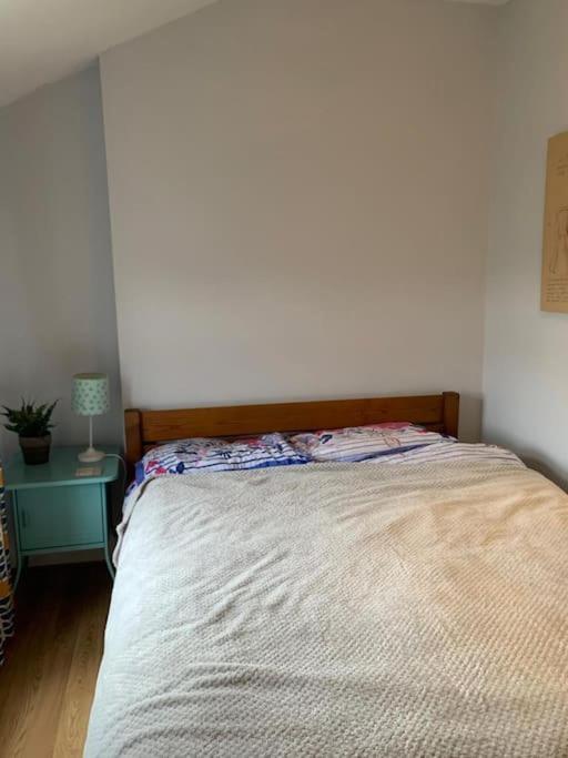 7 Bedroom Victorian House Zone 2 Londra